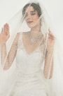 Charming Bridal Veil