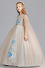 Robe de Princessse Longue En Tulle Avec Broderie