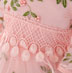 Embroidery Short Sleeves Baby Dress Infant Dress