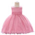 lovely Round Neck Lace Tulle  Baby Dress