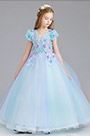 Robe de Princesse Tutu en Tulle Bleu Claire