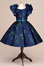 Classique Robe de Fille Imprimée Bleu
