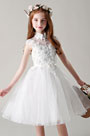 Lovely Lace Applique Flower Girl Dress