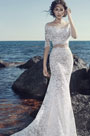 Sexy Sleeves Two-piece Lace Applique Wedding Dress