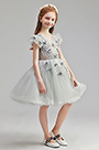 Robe de Filles Grise Avec Fleurs Jupe Tutu