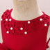 Classic Beadings Baby Dress Little Girl Dress