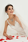 Charming Bridal Veil