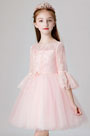 Princess Pink Children Wedding Flower Girl Dress