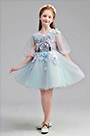 Lovely Blue Litte Girl Wedding flower Girl Dress