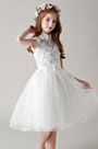 Lovely Lace Applique Flower Girl Dress