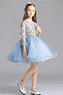 Robe de Princesse Bleu Pour Fille Avec Manches