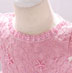 Lovely Lace Beadings Applique Baby Dress