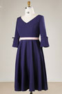 Navy Blue V-cut Mother of the Bridal Dress Plus Size Dress