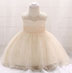 lovely Round Neck Lace Tulle  Baby Dress