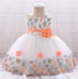 Embroidery Sleeveless Baby Dress Infant Dress