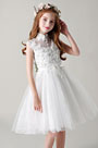 Lovely Lace Applique Flower Girl Dress