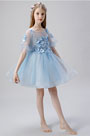 Baby Blue Short Flower Girl Dress