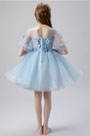 Baby Blue Short Flower Girl Dress