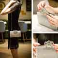 New Rhinestone Frosted Evening Clutch Handbag