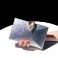 Women's Clutches Glitter Leaf Clasp Evening Bag