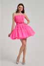 Lovely Hot Pink Star Red Carpet Cocktail Party Dress