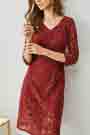 Burgundy V-Cut Half Sleeves Lace Appliques Party / Day Dress
