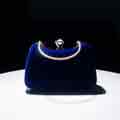 Ladies Elegant Purse for Wedding Evening