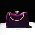 Ladies Elegant Purse for Wedding Evening
