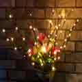 Christmas Lights - Indoor and Outdoor String Lights