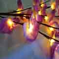 Creative Simulation Phalaenopsis LED Christmas Light