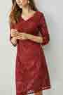 Burgundy V-Cut Half Sleeves Lace Appliques Party / Day Dress