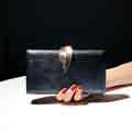 Chic Womens Evening Handbag Women Clutch