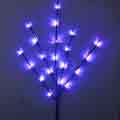 Christmas Lights - Indoor and Outdoor String Lights