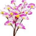 Creative Simulation Phalaenopsis LED Christmas Light