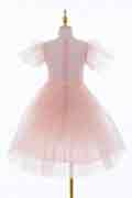 Bowknot Applique Waist Glitter Tulle Flower Girl Ball Gown