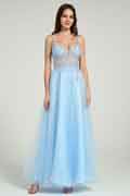 Sheer Embroidered Sequin Bodice A-Line Maxi Dress