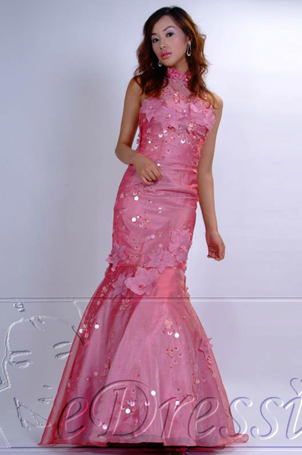 Elegant Gown Evening Dress