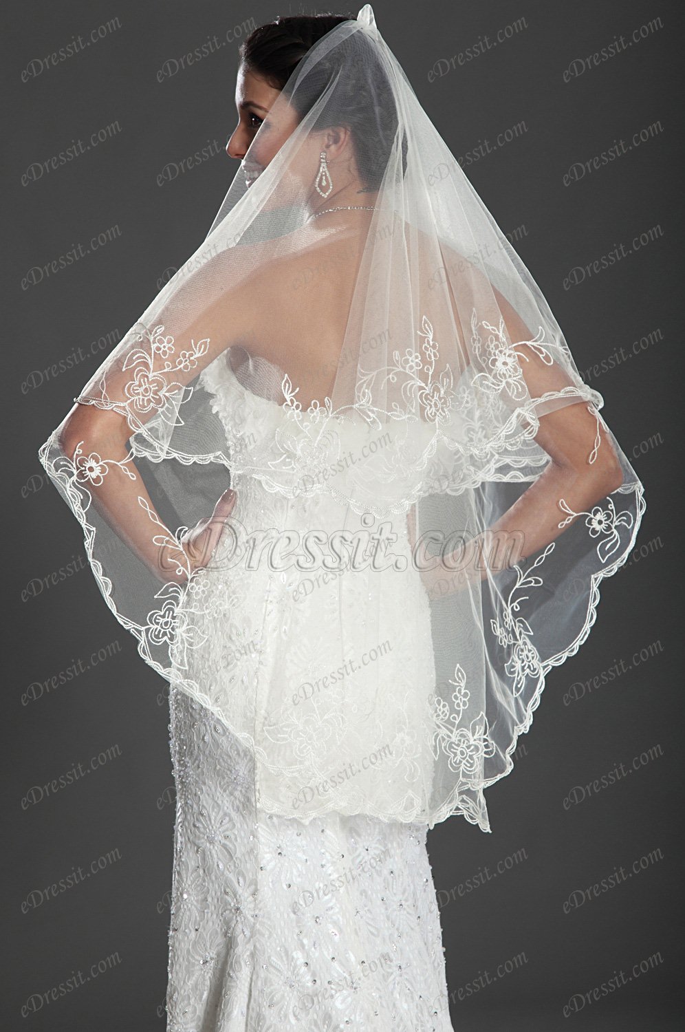 Gorgeous Lace Decorated Wedding Veil