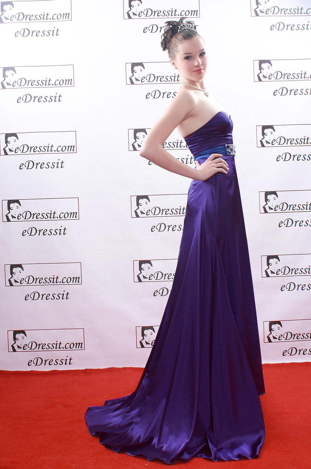Purple Ball Gown Party Evening Dress
