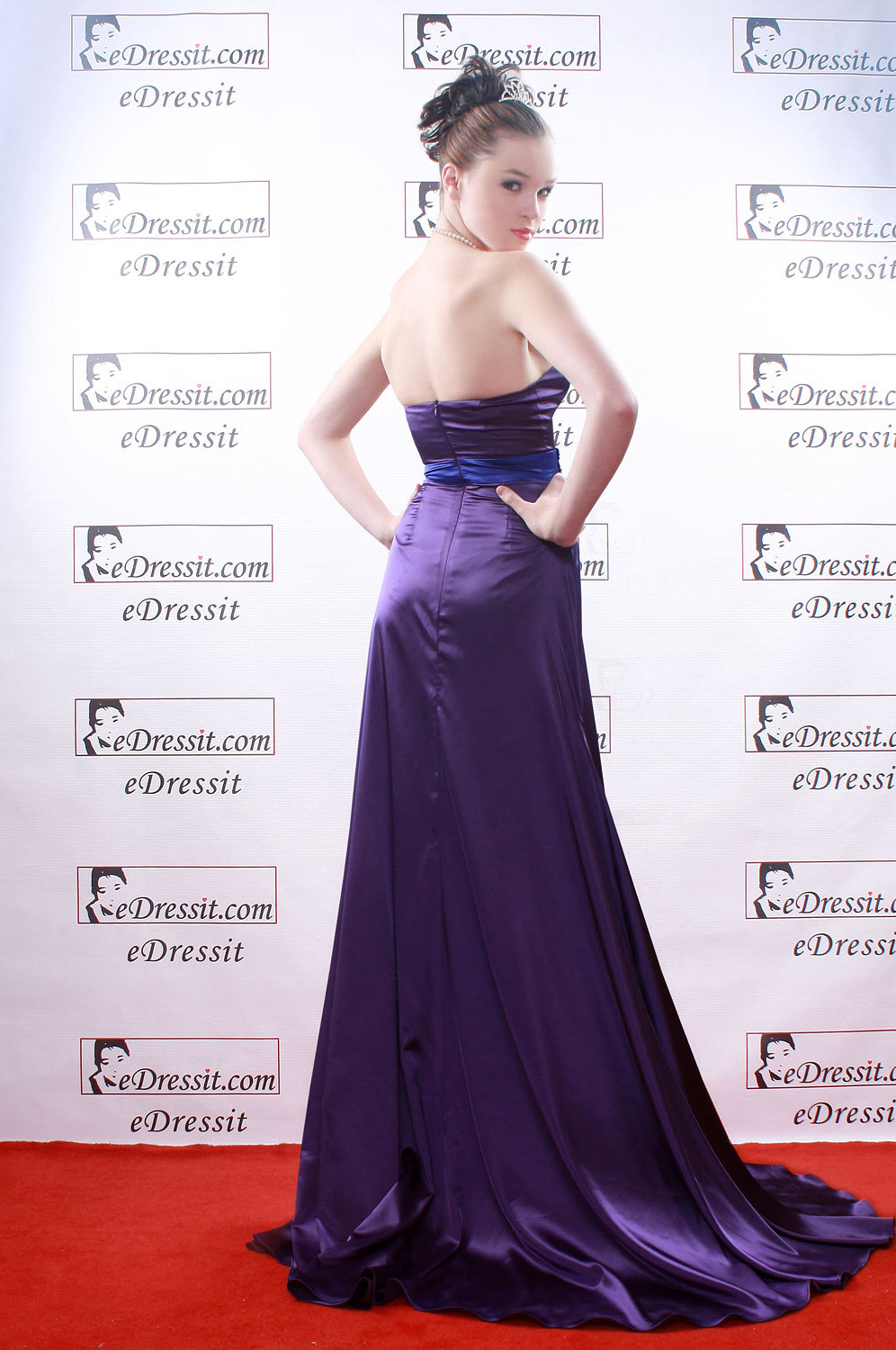 Purple Ball Gown Party Evening Dress
