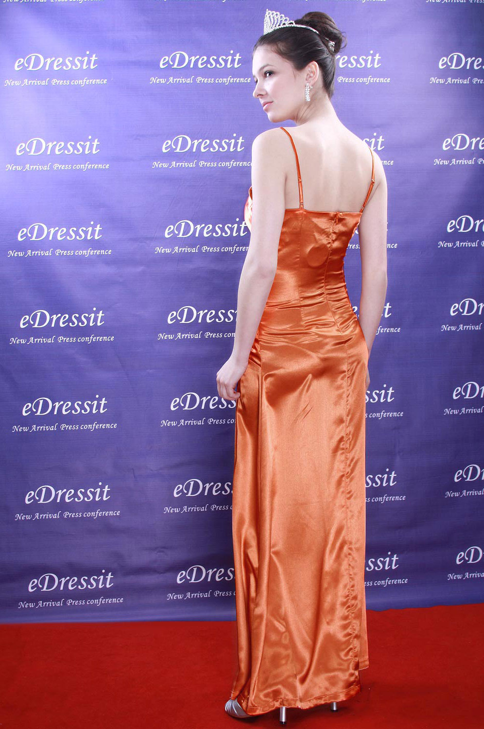 New Elegant Gown Evening Dress