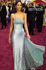 Halle Berry  Grey Party Evening Dress