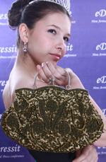 Lady Hangbag/Clutch/Shoulder Bag