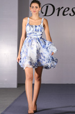 Chic Party/Cocktail Dress