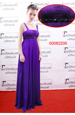 Elegant Purple Evening Dress/ Prom Gown