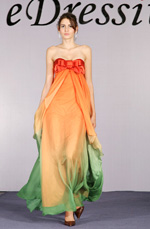 Gorgeous Gradient High Waistline Evening Dress