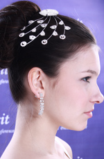 Charming Bridal Headpieces Pins Combs