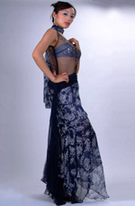 Elegant Gown Evening Dress