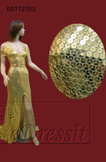 Gorgeous Evening Dress