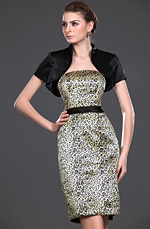 New Stylish Leopard Two Pieces Mother of the Bride Dress